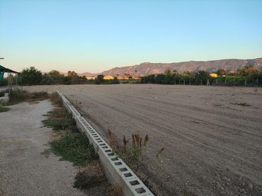 Terreny rústic en venda a Polígono Polígono 183 Parcela 286 TORRE DEL POLLO. MURCIA 183