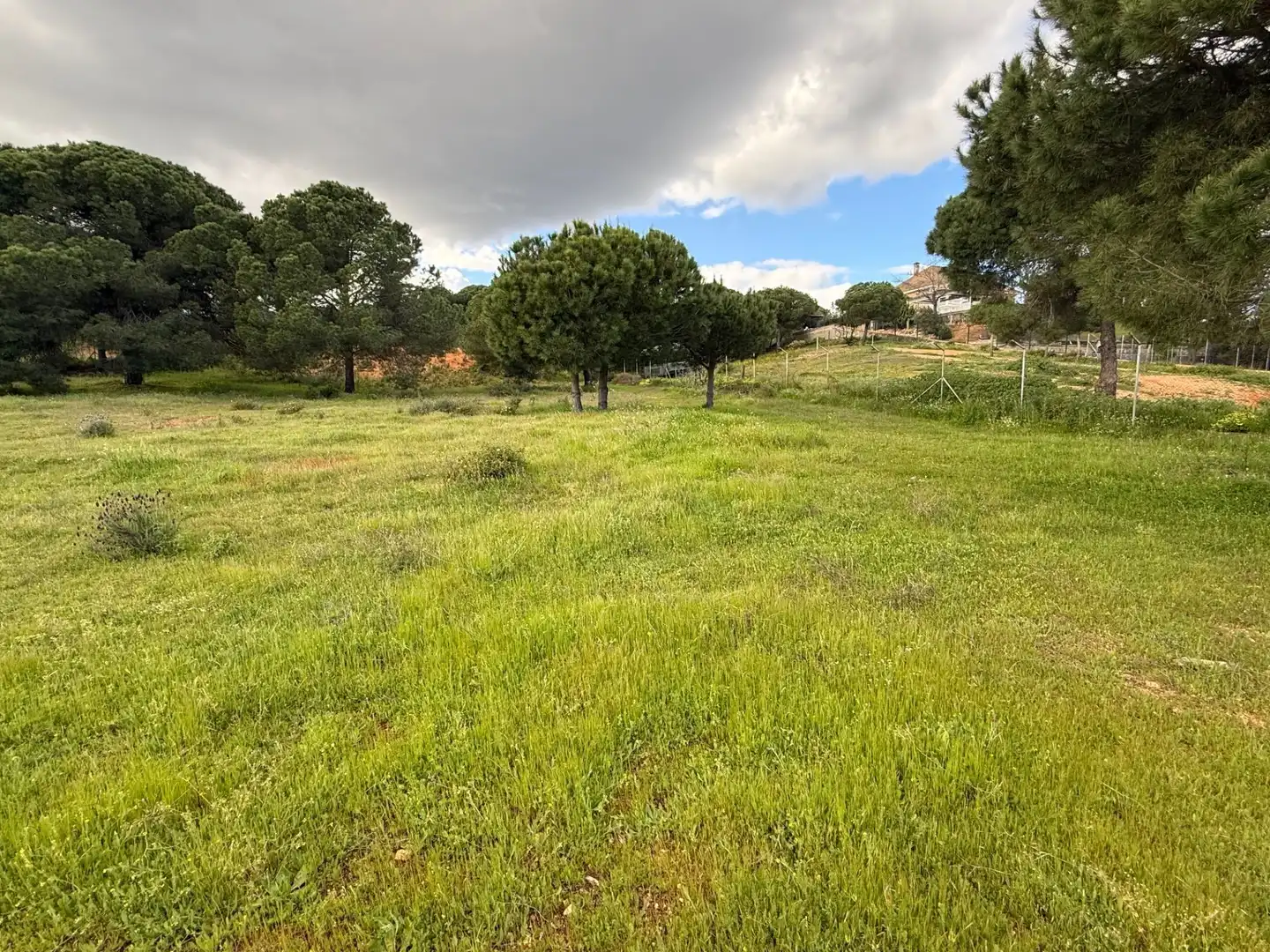 Terrenos y solares en venta en Las Palmillas, imagen 4