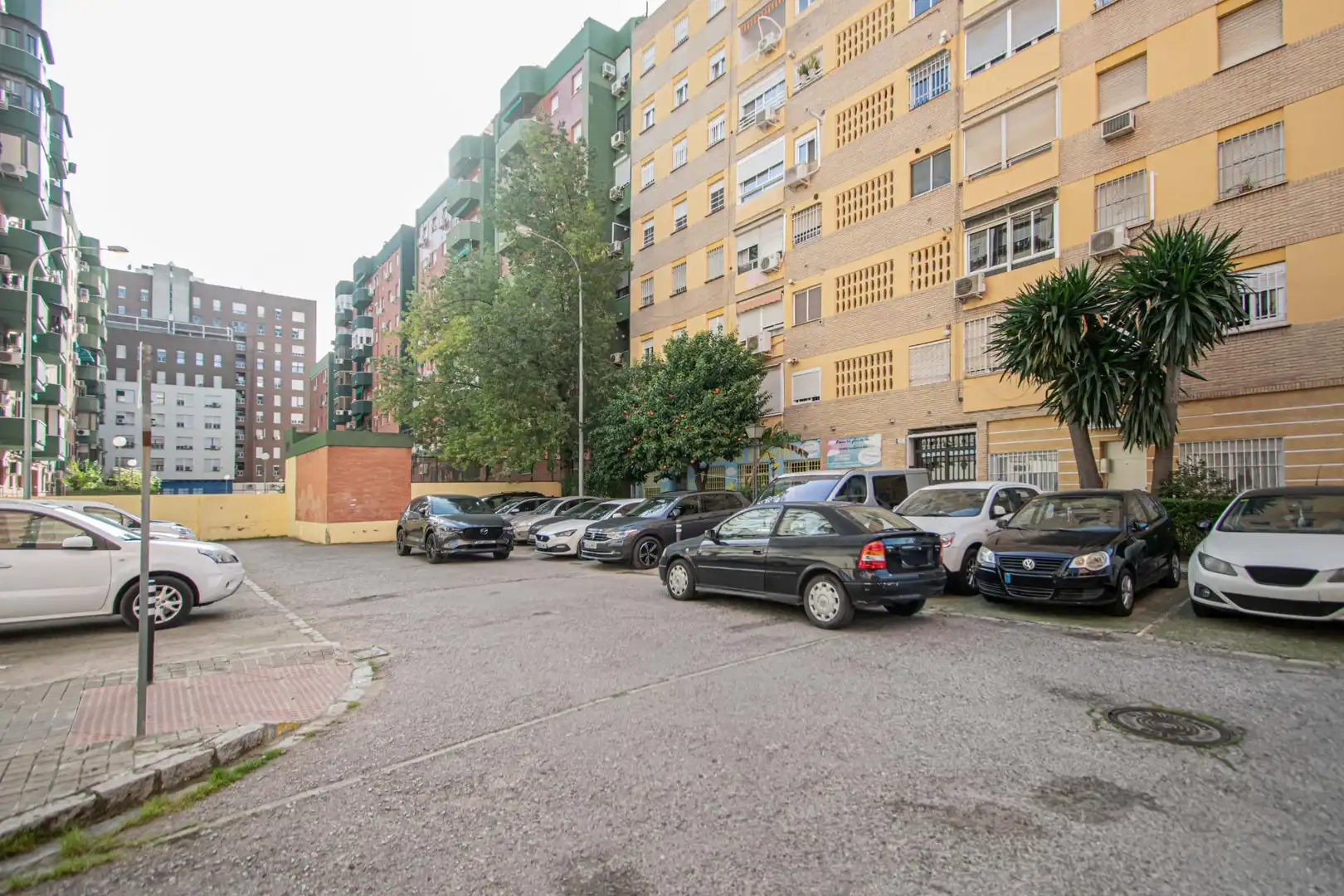 Planta baja en venta en Calle Pérez Hervás, San Carlos - San José