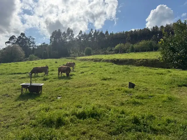 Residential land for sale in Castropol, imagen 4