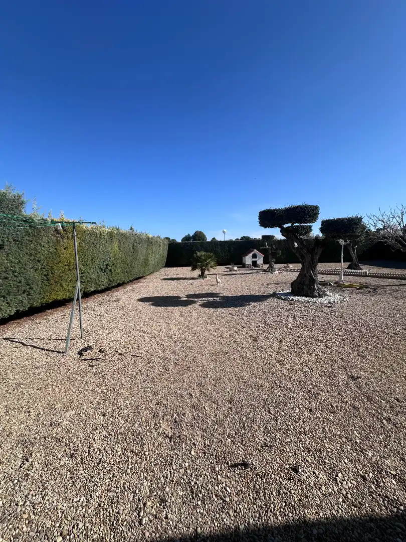 Jardí de Casa o xalet en venda en Illana amb Aire condicionat, Calefacció i Jardí privat