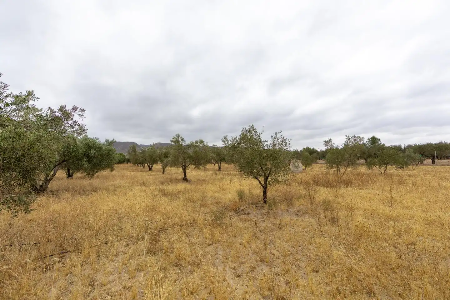 Finca rústica en venta en Turrillas con Jardín privado, Terraza y Trastero