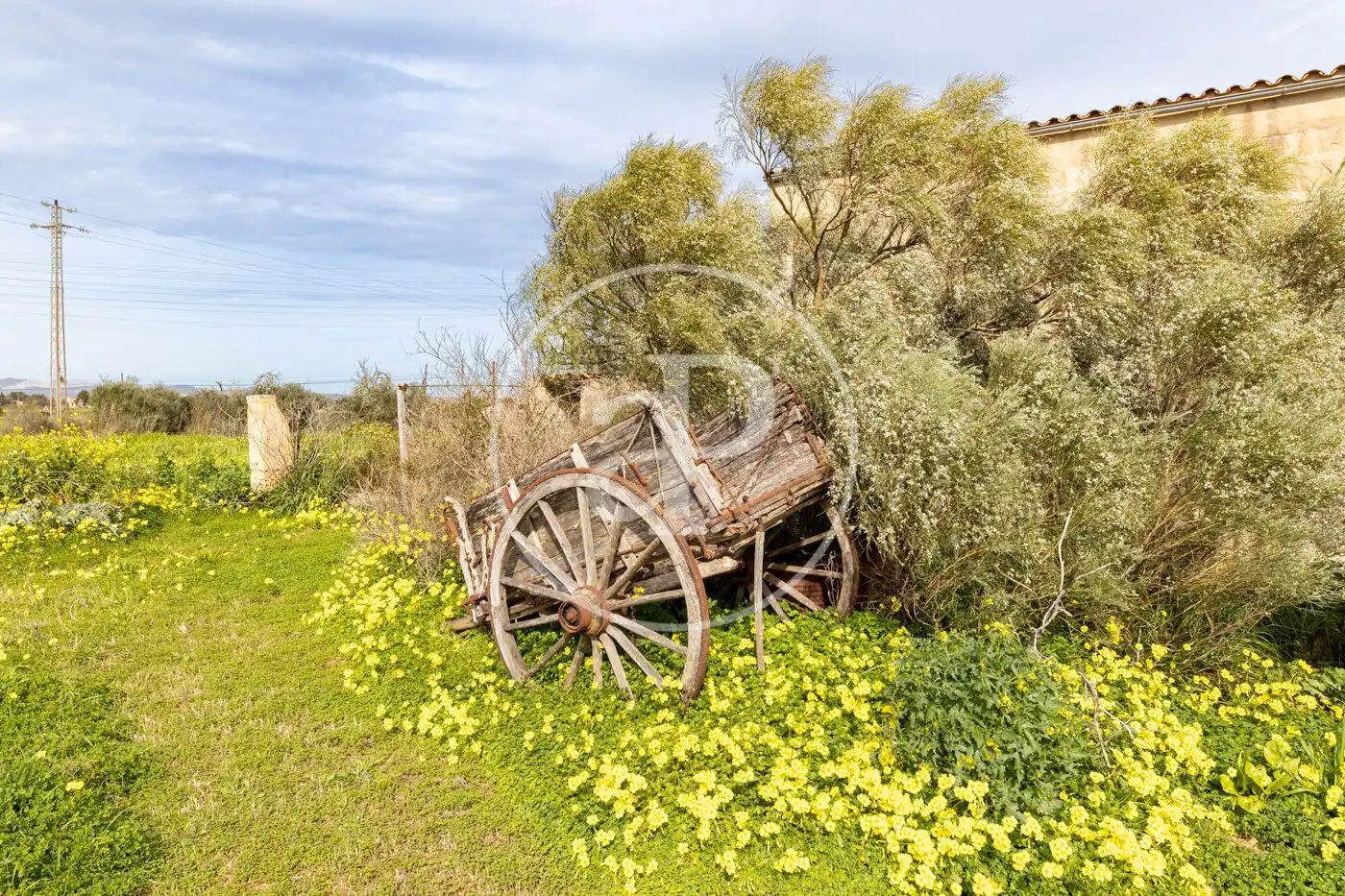Jardín de Finca rústica en venta en Campos con Jardín privado y Trastero