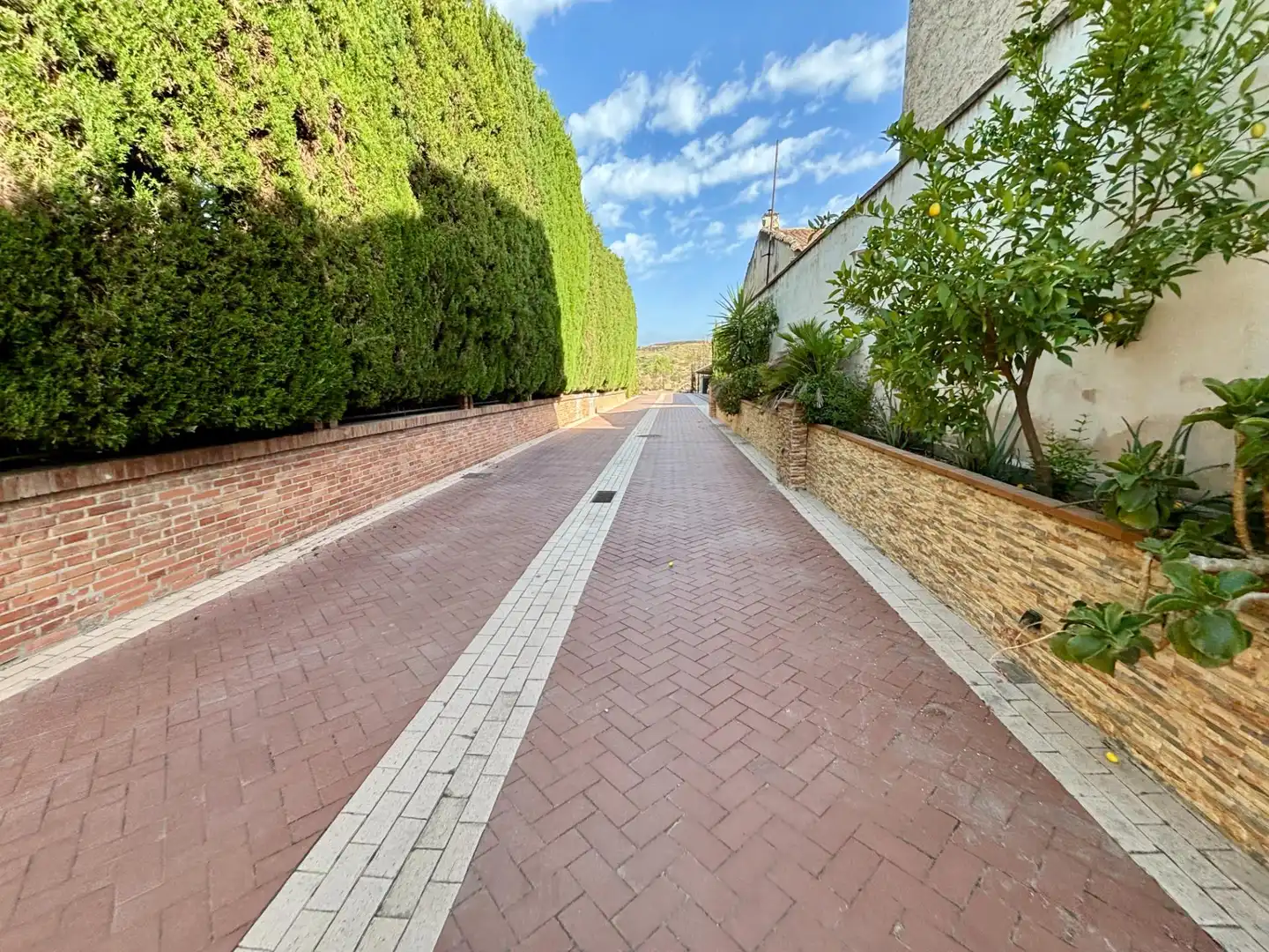 Wohnung zur Miete in Calle Calle San Cayetano, 24, Jun