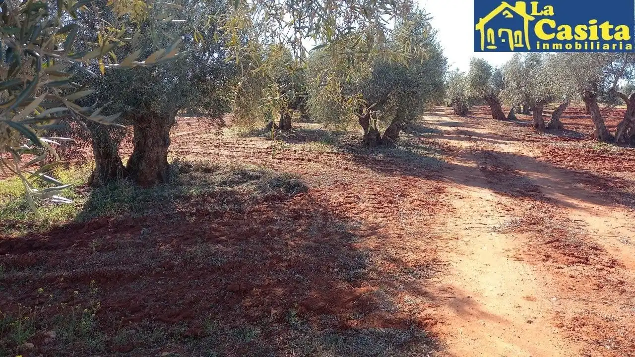 Terrenys i solars en venda a Almagro, imagen 4