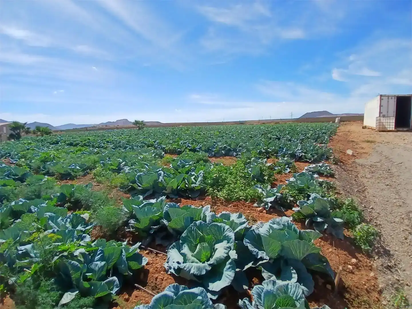 Jardí de Finca rústica en venda en Antigua amb Jardí privat, Traster i Moblat
