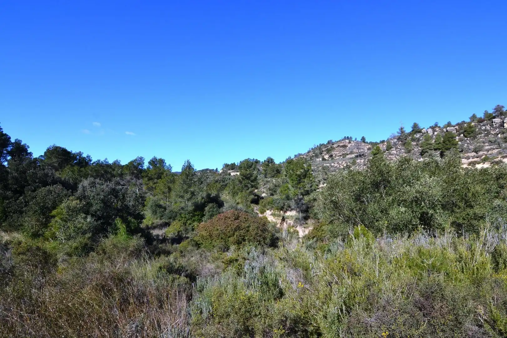 Rural land for sale in Ascó, imagen 29