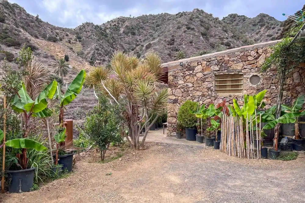 Vista exterior de Finca rústica en venta en Vallehermoso con Amueblado