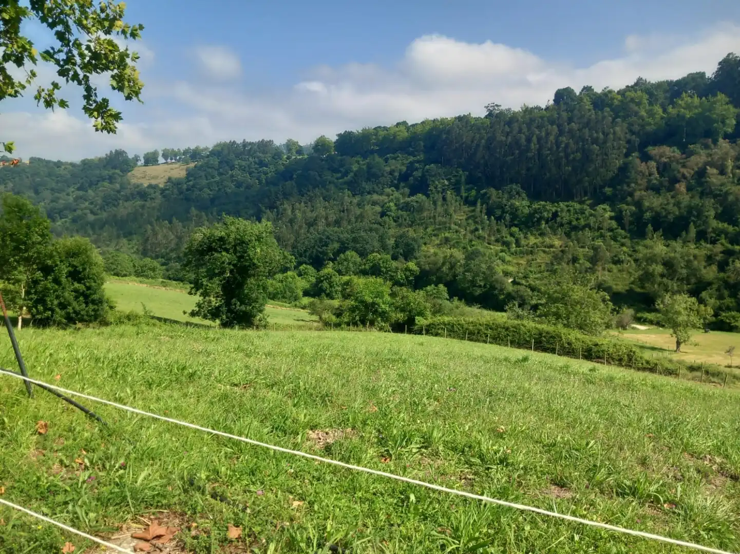 Terreni e lotti in vendita a Labarces - La Cardosa 21, imagen 15