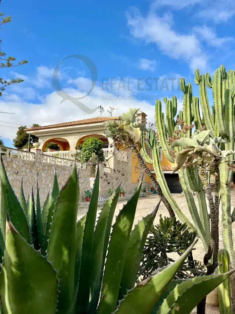Vista exterior de Casa o xalet en venda en Alicante / Alacant amb Jardí privat, Terrassa i Traster