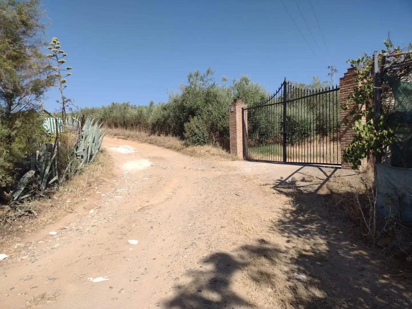 Casa o chalet en venta en Cantillana con Jardín privado y Piscina