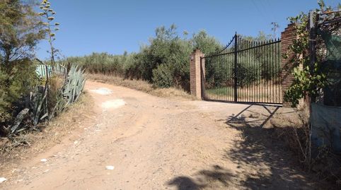 Foto 2 de Casa o xalet en venda a Cantillana, Sevilla