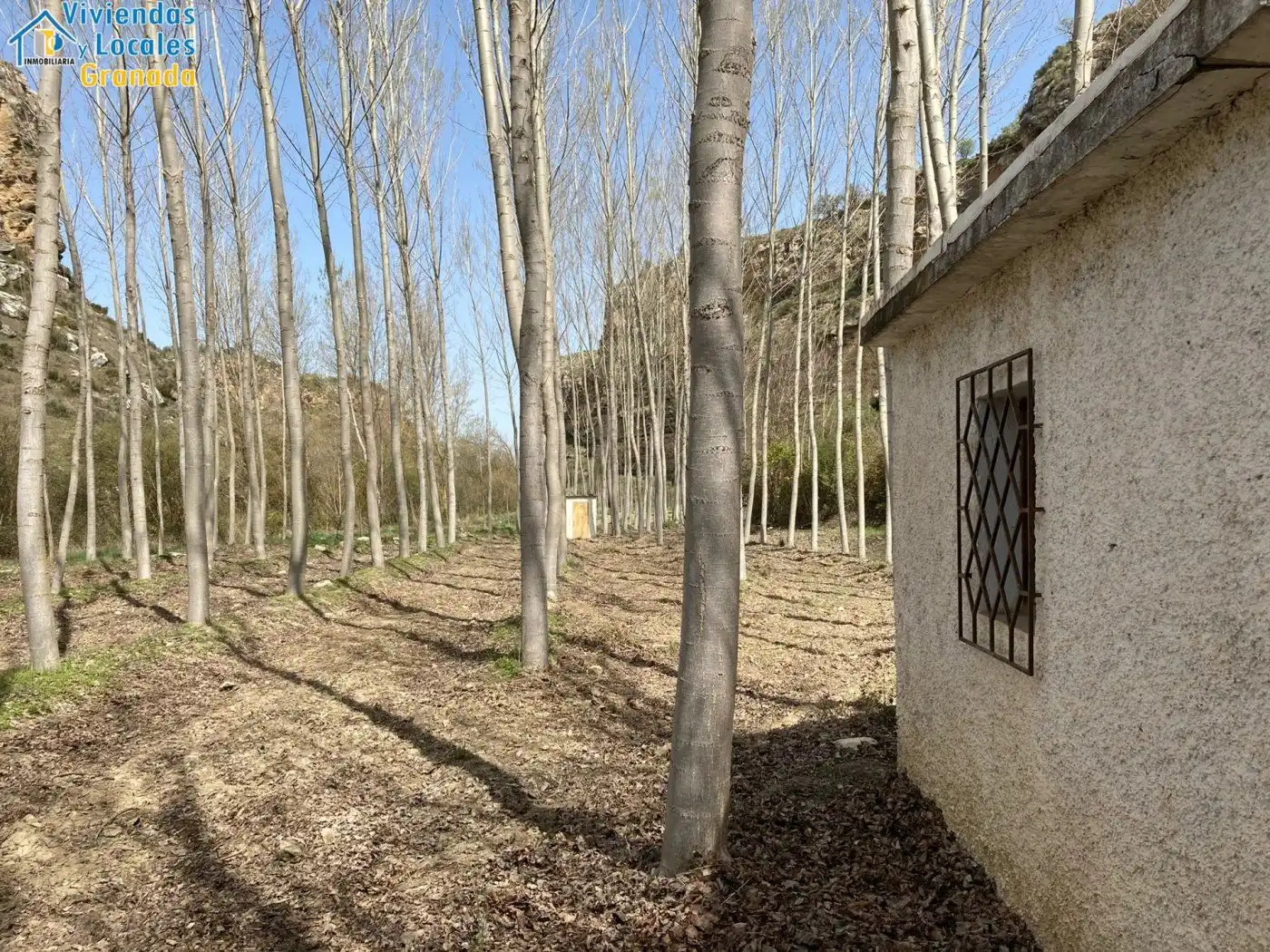 Terreni e lotti in vendita a Alhama de Granada, imagen 41