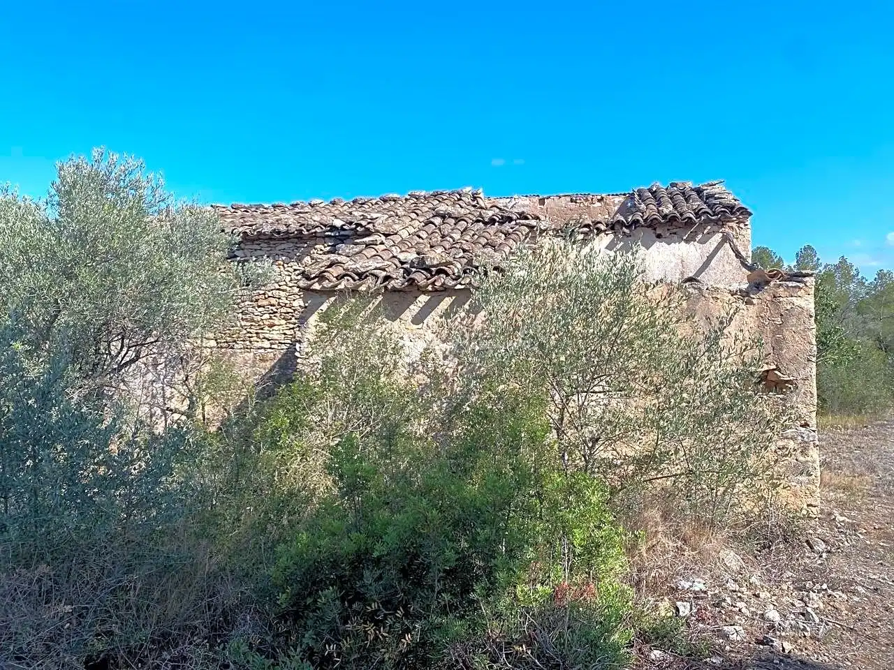 Terreno en venta en Planes, Rasquera