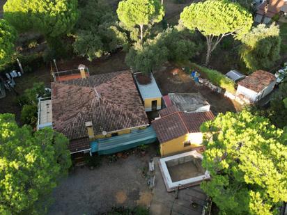 Exterior view of Country house for sale in Valverde del Camino  with Private garden, Terrace and Storage room