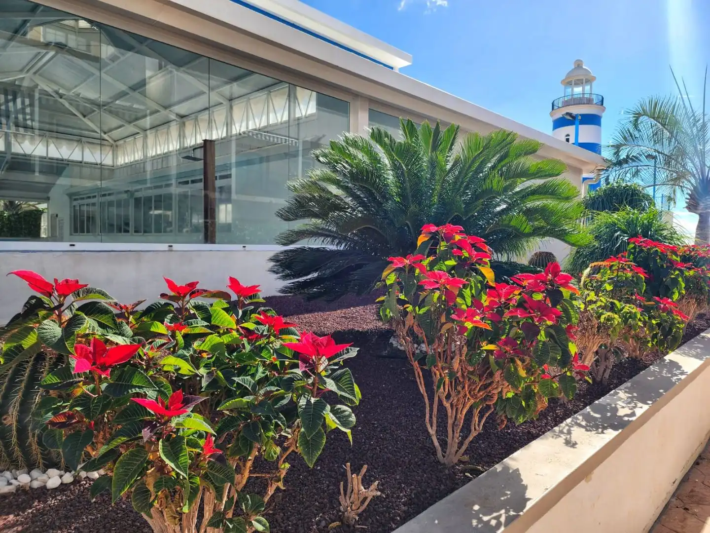 Apartamento con piscina en venta en Mencey Tegueste 20, imagen 74