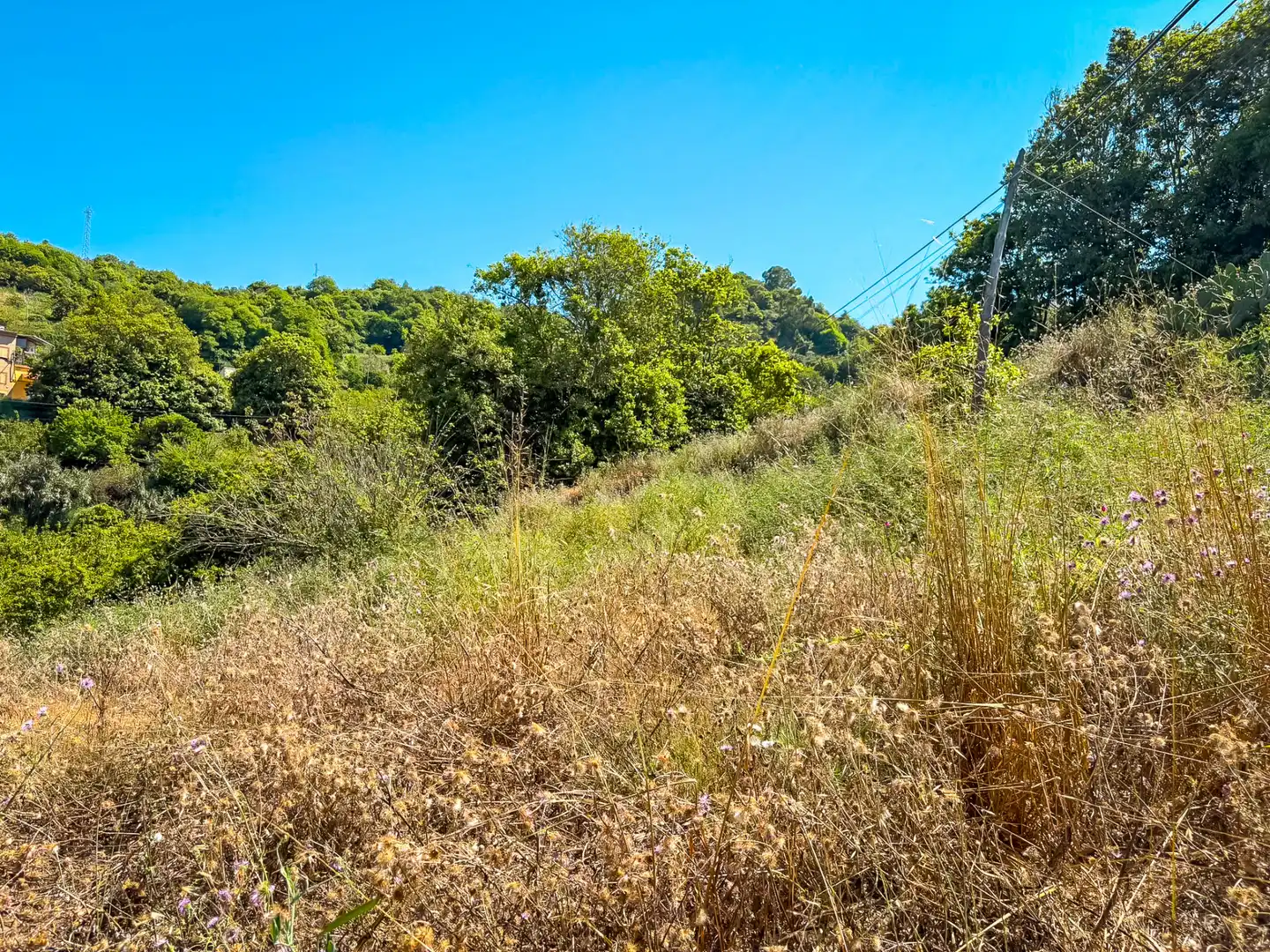 Casa o chalet en venta en Valleseco