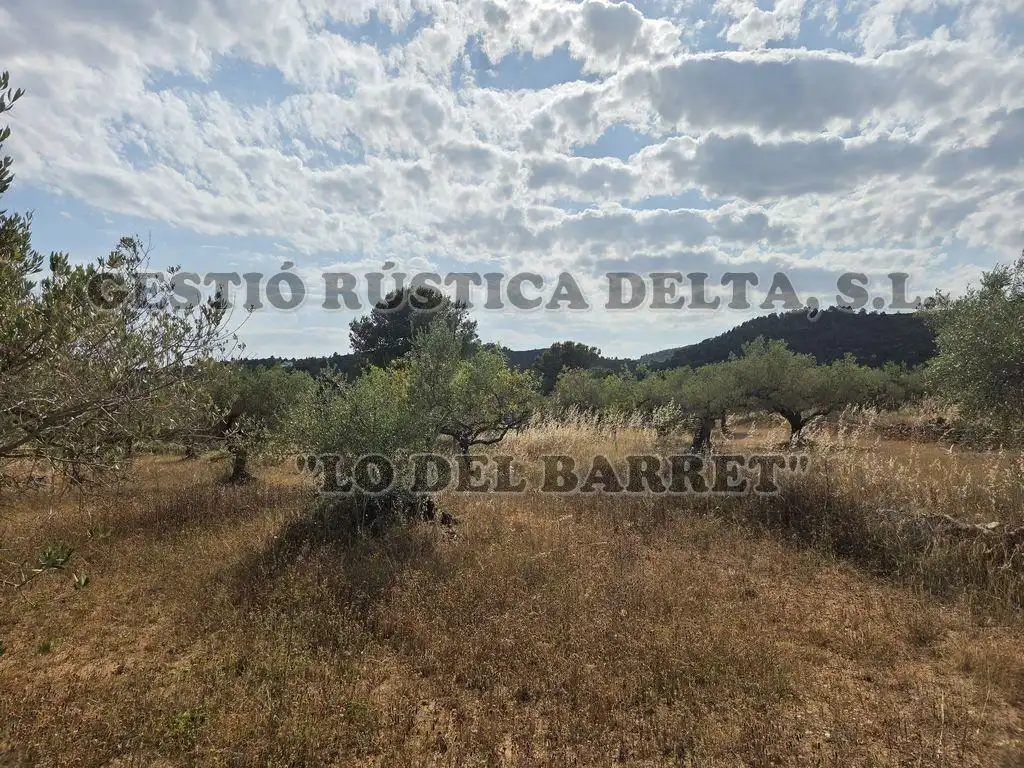 Finca rústica en venda en El Perelló