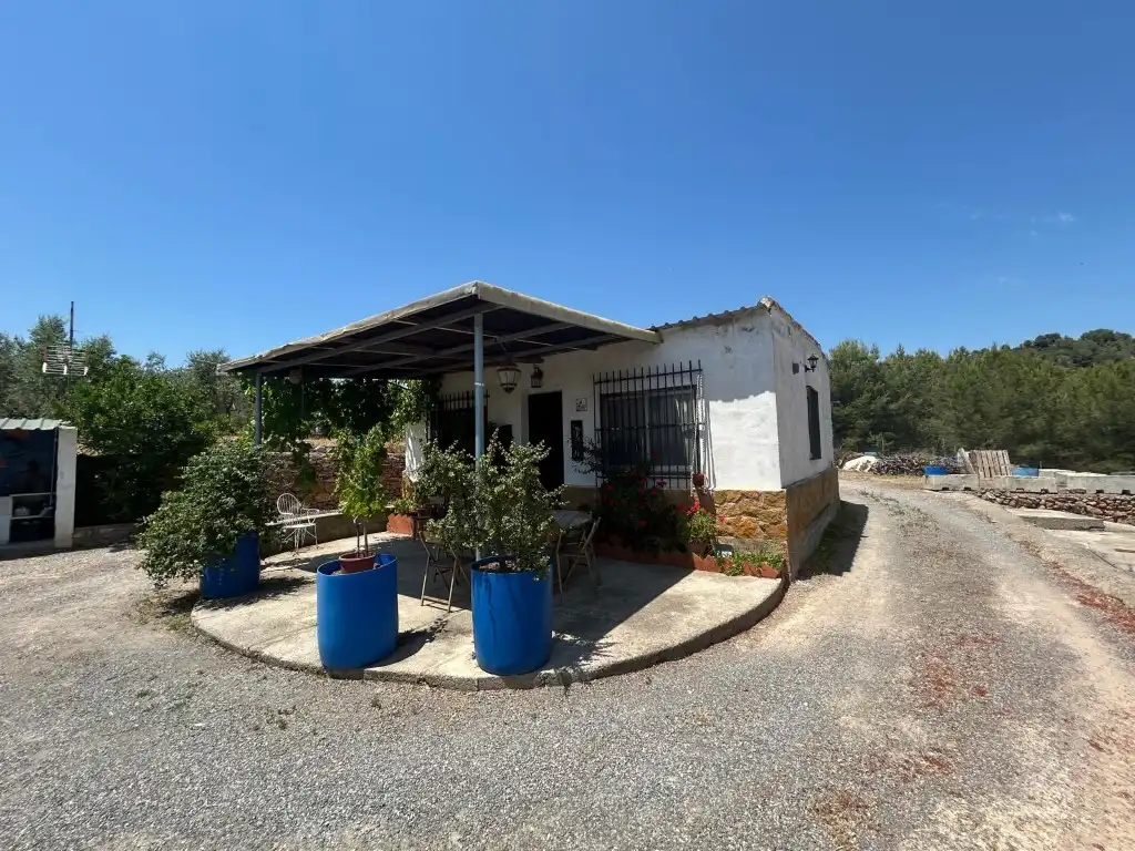 Vista exterior de Finca rústica en venta en Sot de Ferrer