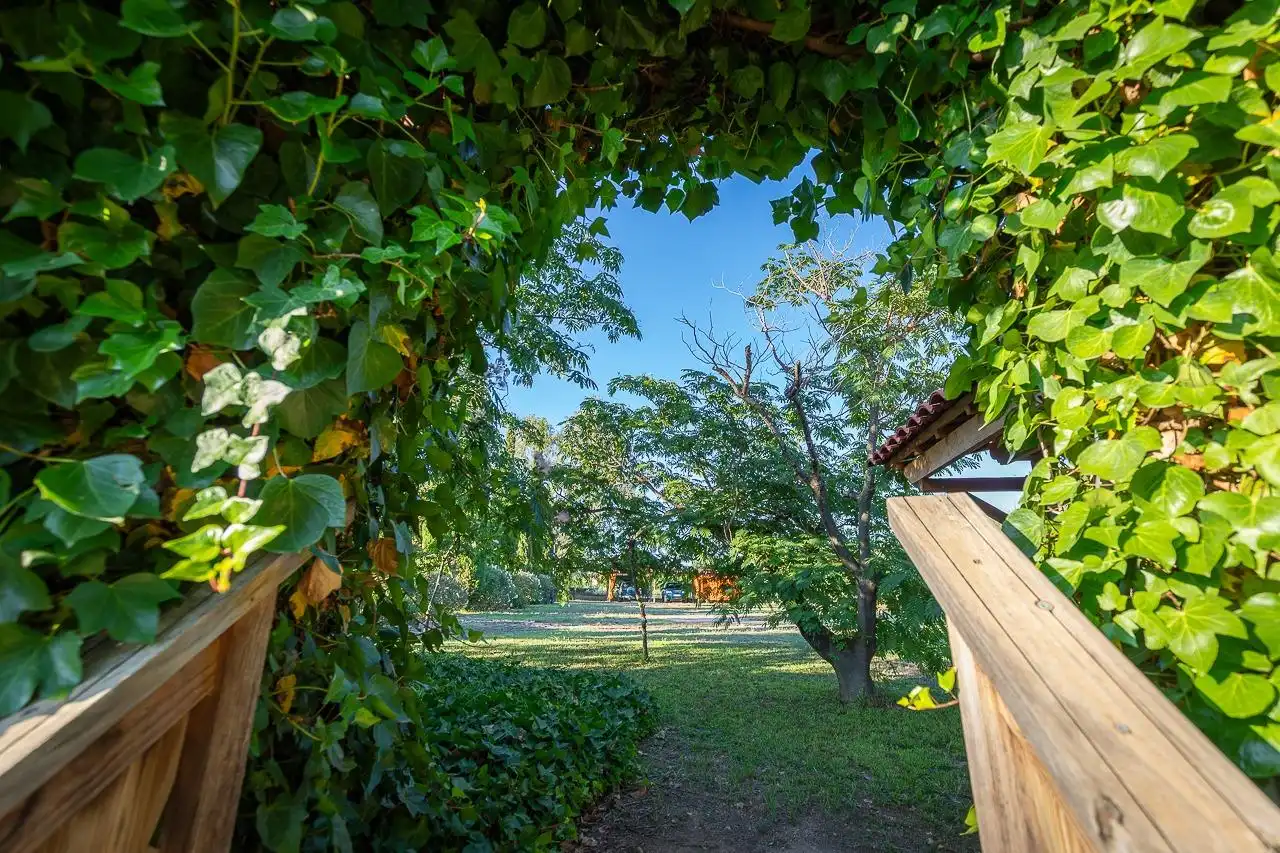Maison rustique à vendre à Riudoms, imagen 30