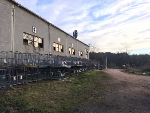 Vista exterior de Nau industrial de lloguer en Santa Coloma de Farners