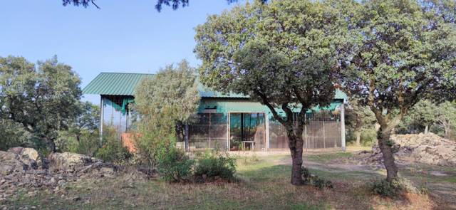 Terreno en Venta en Carretera 519 en Casa Amarilla