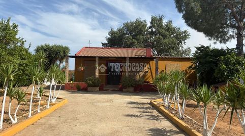 Photo 2 of Country homes for sale in Pilas, Sevilla