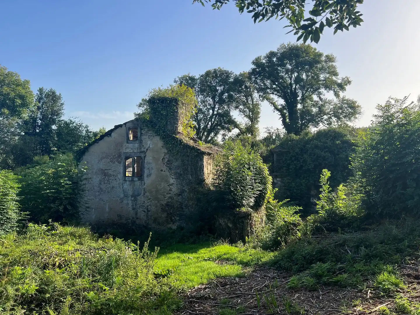 Haus mit Garten zum Verkauf in Moeche, imagen 45