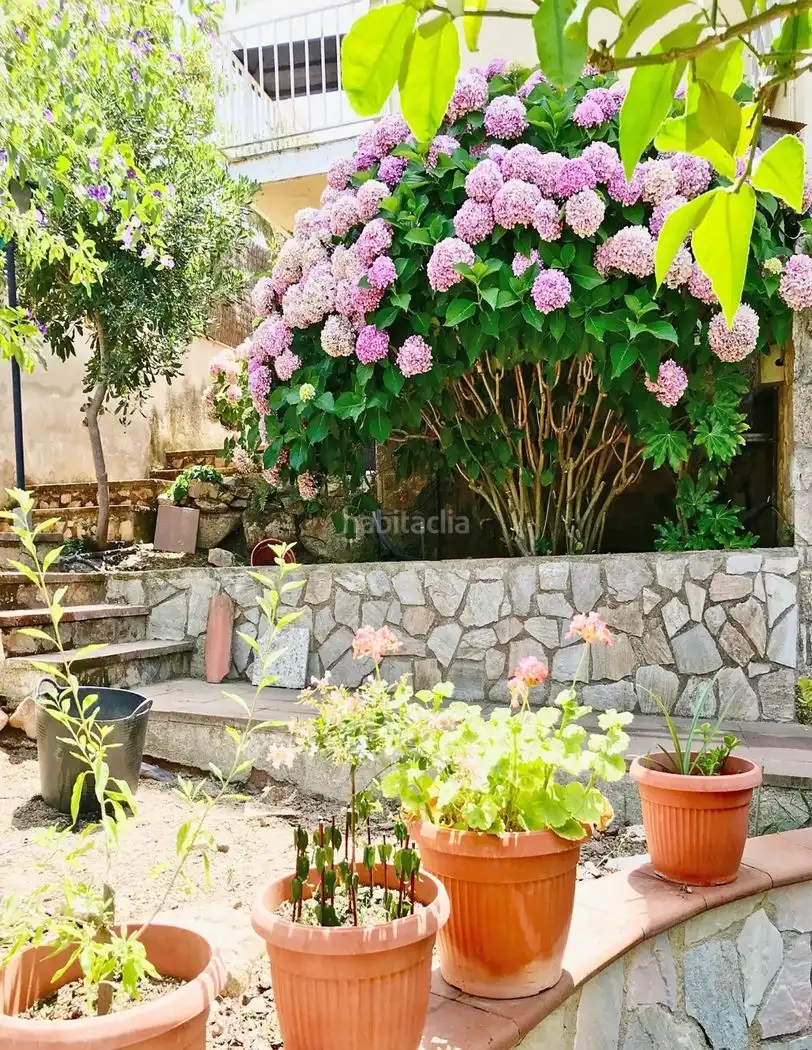 House with garden for sale in Carrer Leipzig 6, imagen 6