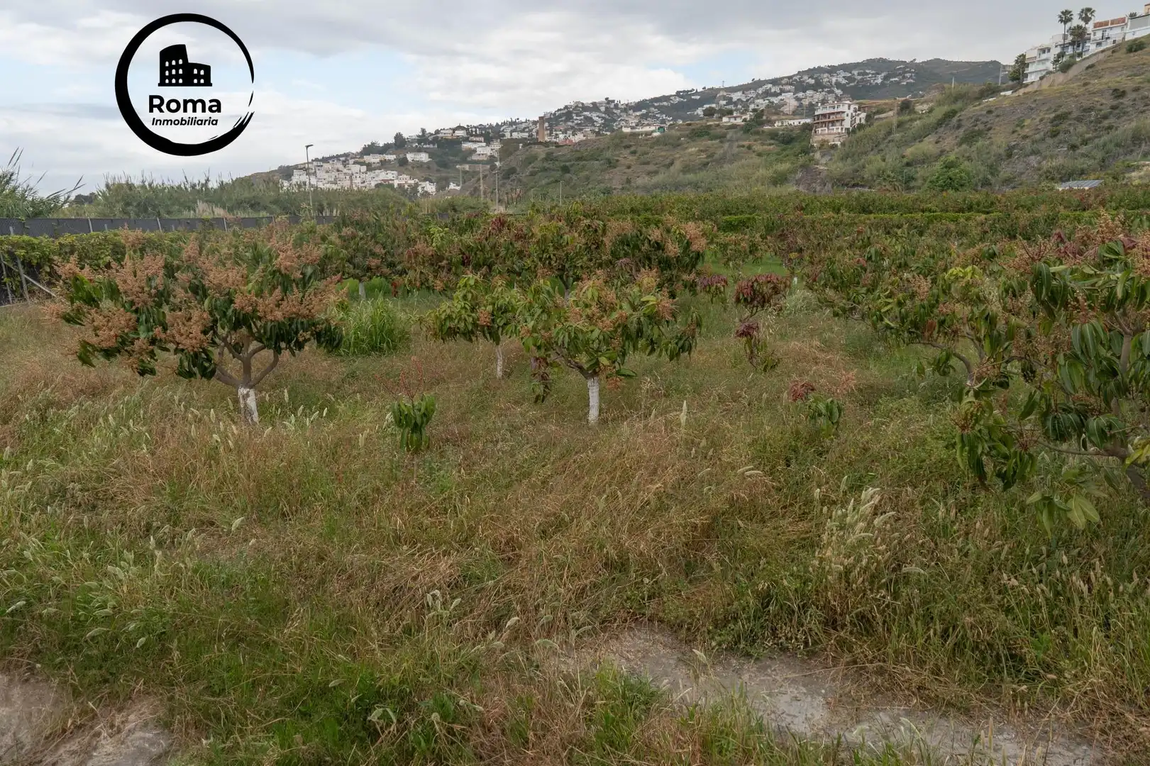 Terreni e lotti in vendita a CARRETERA MALAGA (CAL) 74, imagen 24
