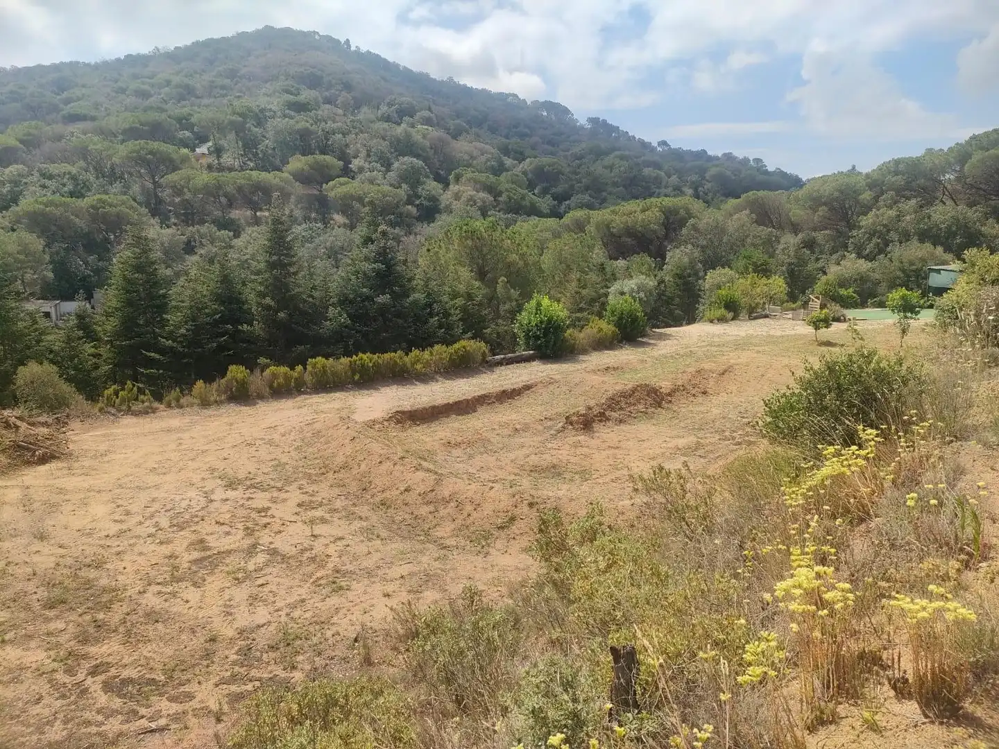 Terrain rustique à vendre à Dosrius poble, imagen 19