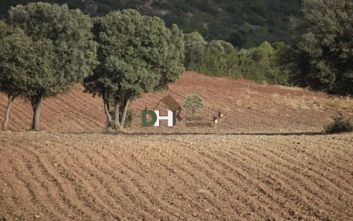 Terreni e lotti in vendita a San Fernando - Carretera de Valencia, imagen 8