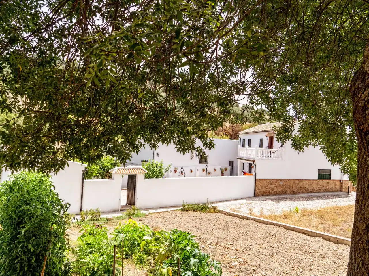 Exterior view of Houses for rent in Iznájar  with Private garden, Storage room and Swimming Pool
