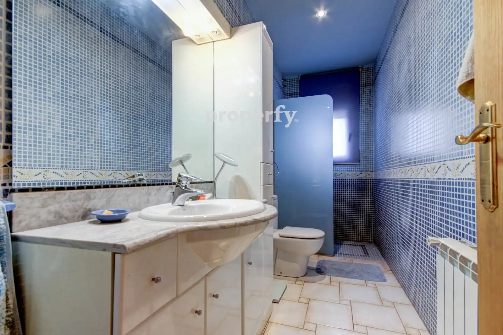 Baño de Casa o chalet en venta en Viladrau con Calefacción, Jardín privado y Piscina