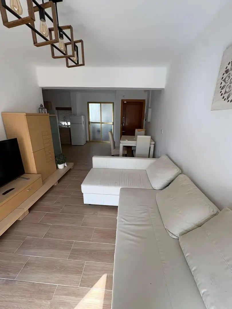 Sala de estar de Piso de alquiler en Granada