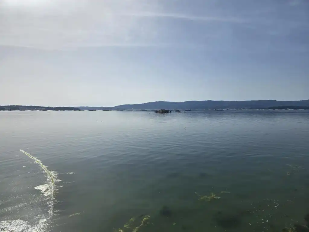 Exterior view of Flat for sale in Vilanova de Arousa  with Parquet flooring, Furnished and Balcony
