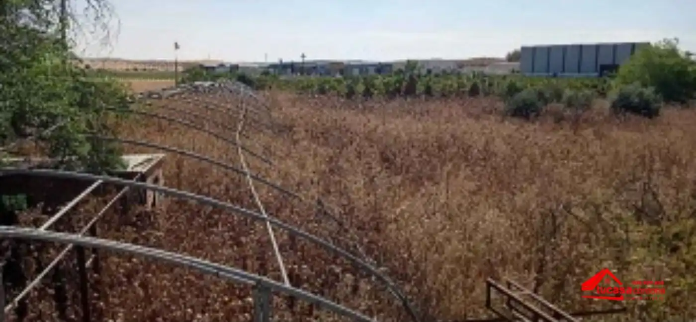 Residential land for sale in El Carpio, imagen 3