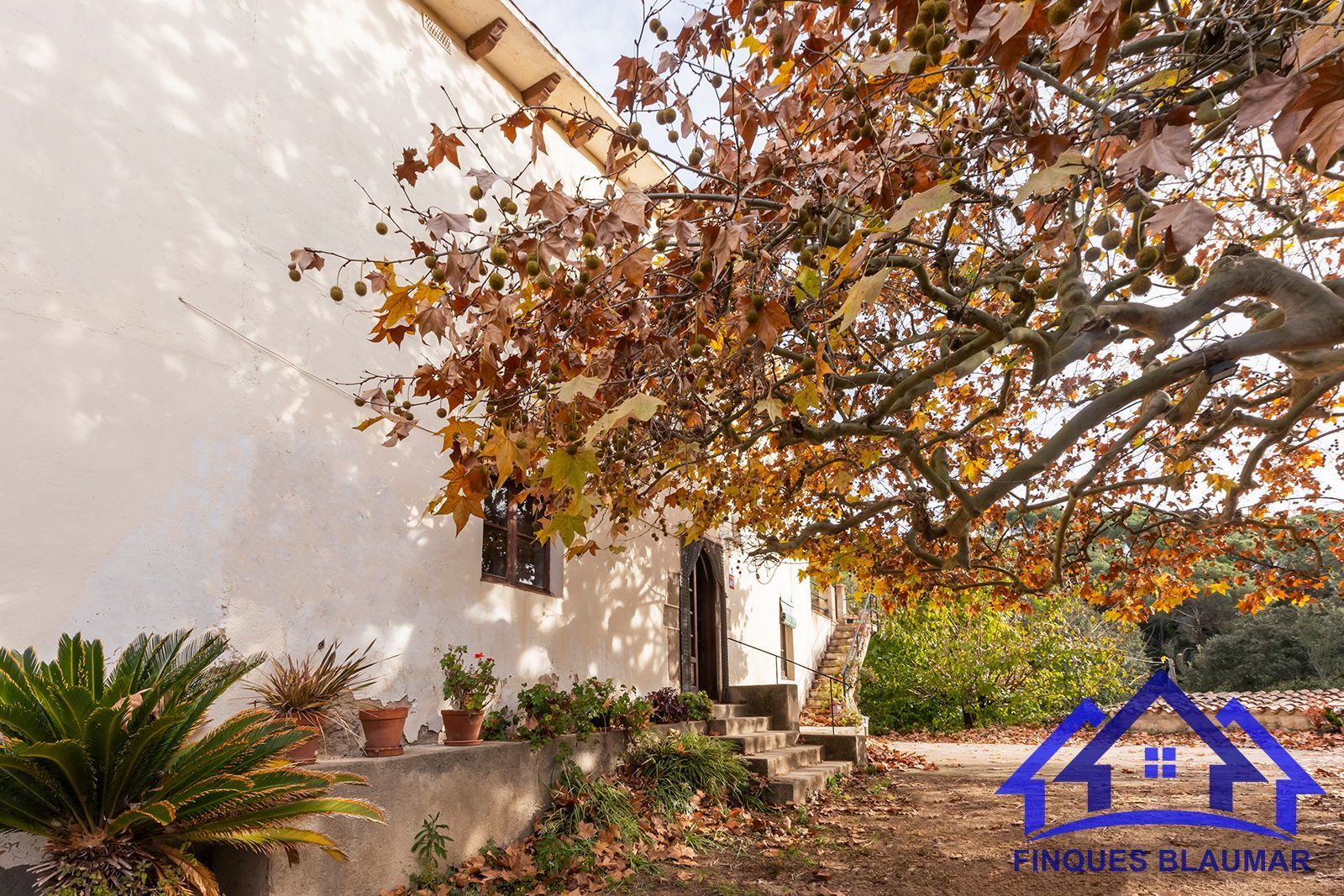 Country house for sale