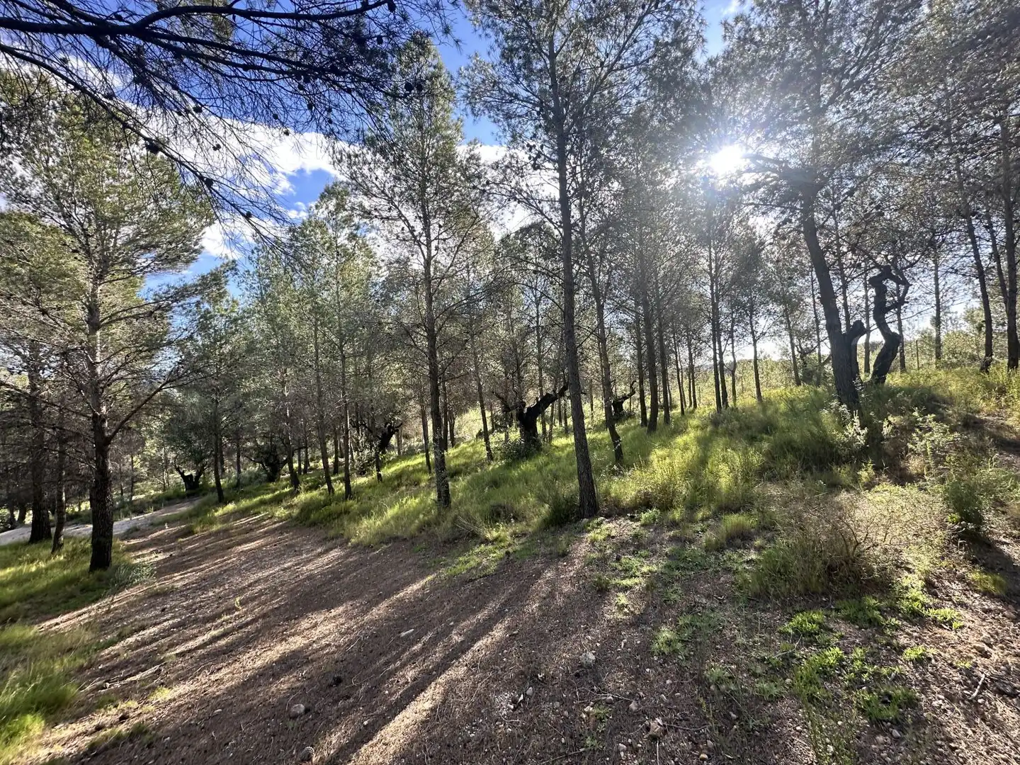 Terreny residencial en venda a Estivella, imagen 5