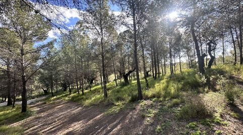 Terreno Rústico en venta en Montaña., immagine 5