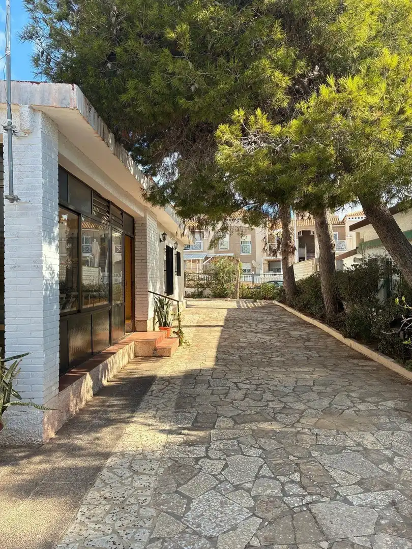 Villa mit Pool zum Verkauf in Nueva Torrevieja - Aguas Nuevas, imagen 6