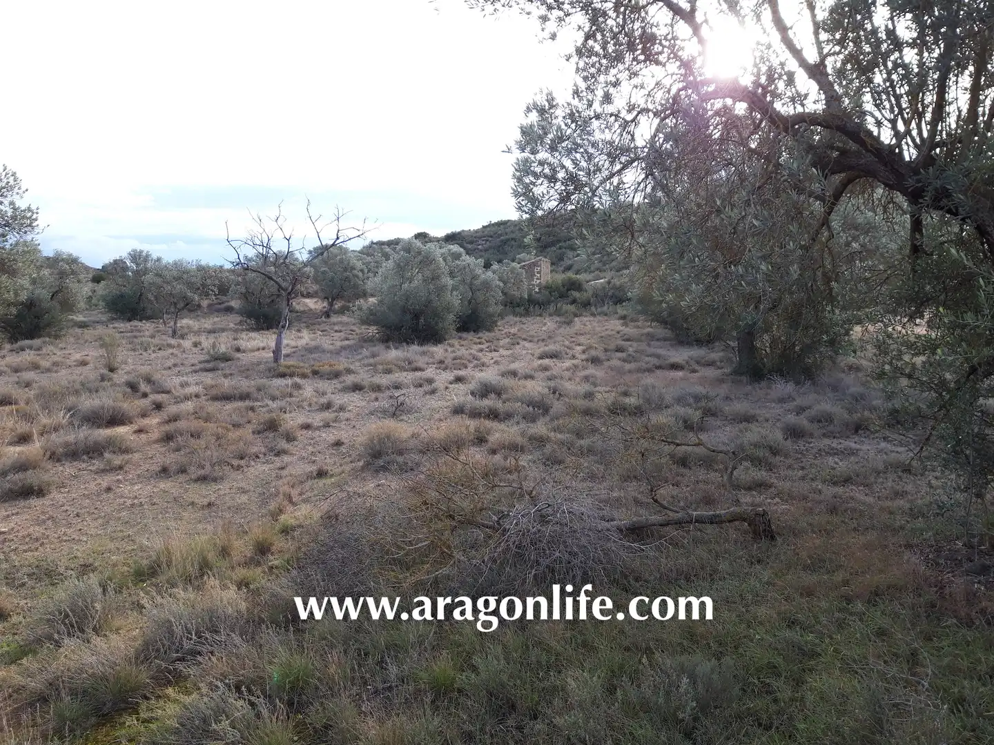 Terreni e lotti in vendita a Calle Industria 2, imagen 17
