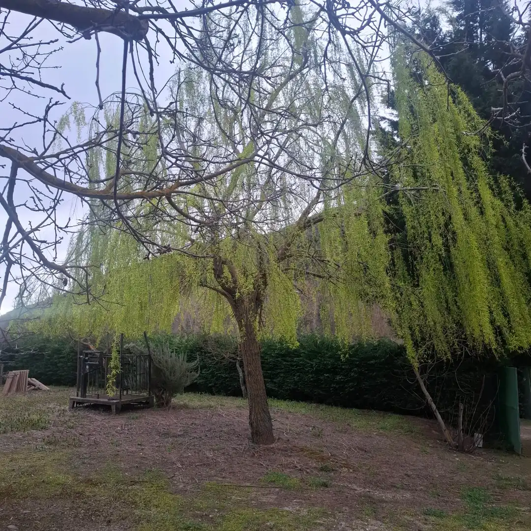 Terreni e lotti in vendita a Diseminado San Millan de la Cogolla, imagen 2