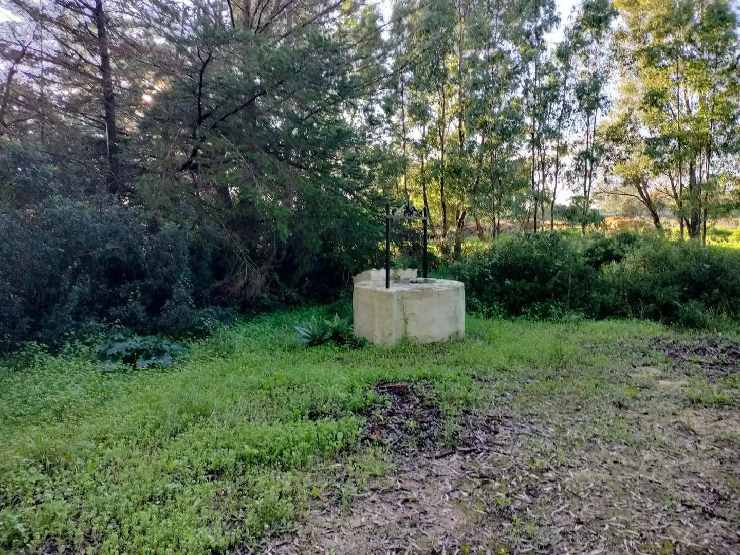 Terreno residencial en venta en Pelagatos - Pago del Humo, imagen 4