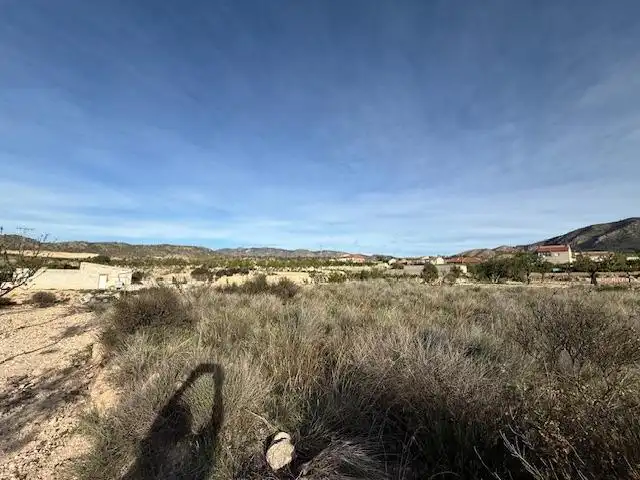Lands and plots for sale in Abanilla, imagen 6