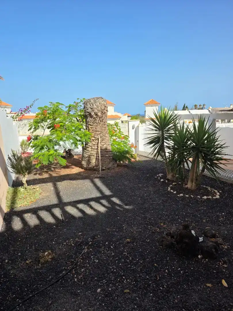Fotografía del inmueble reportado: 1.100 €/mes — Antigua, Antigua
