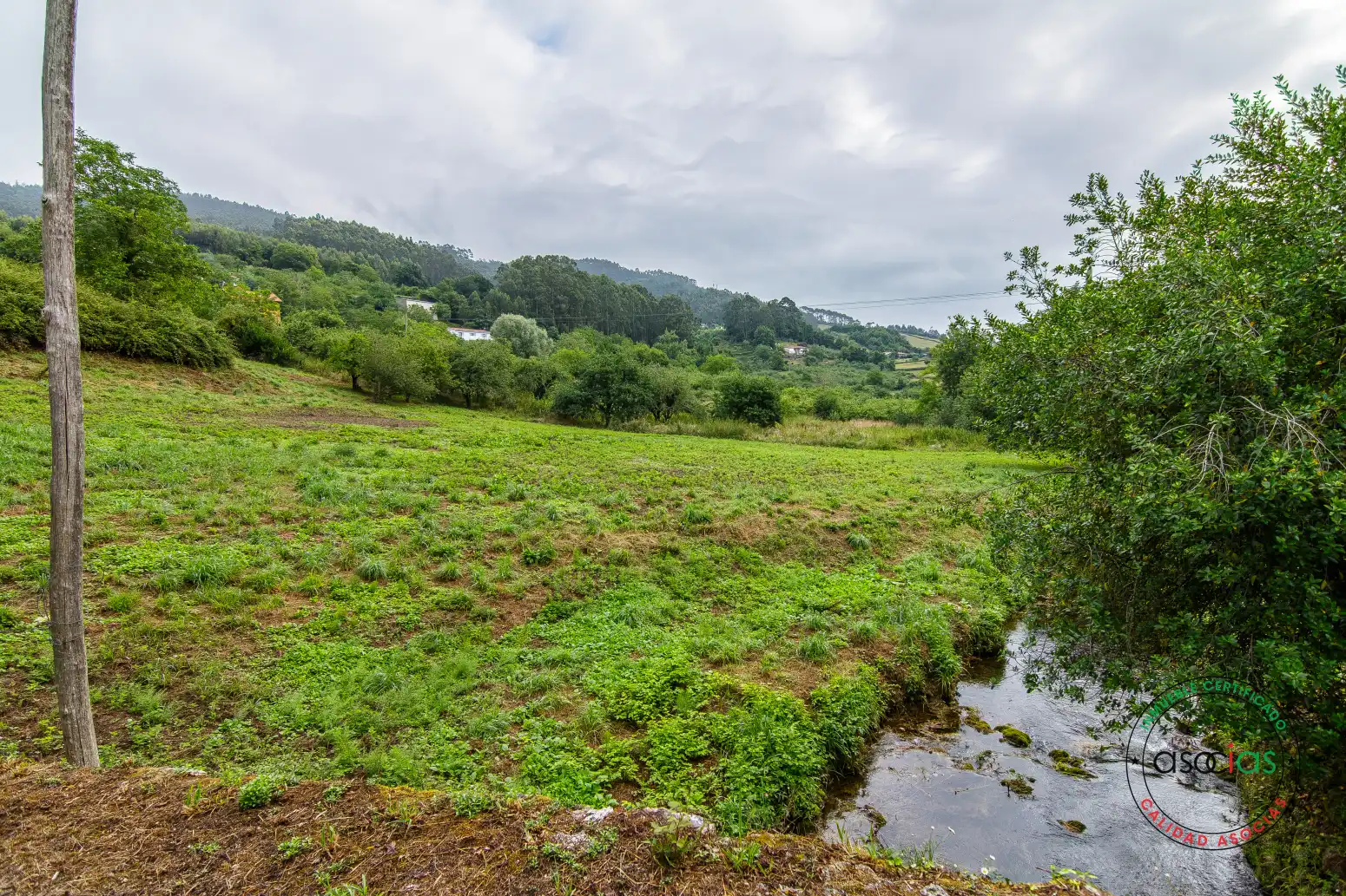 Terreno rustico in vendita a Villaviciosa - Polígono 136 Parcela 72 CUADRO L. VILLAVICIOSA ASTURIAS, imagen 29