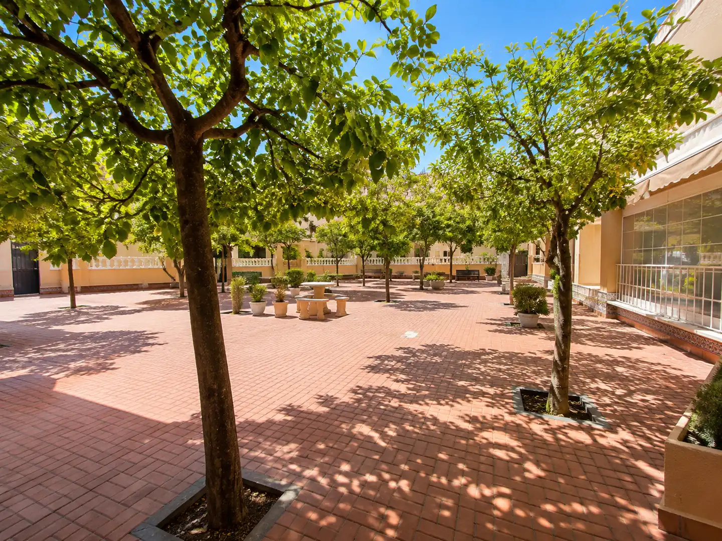 Vista exterior de Apartament en venda en Lo Pagán  