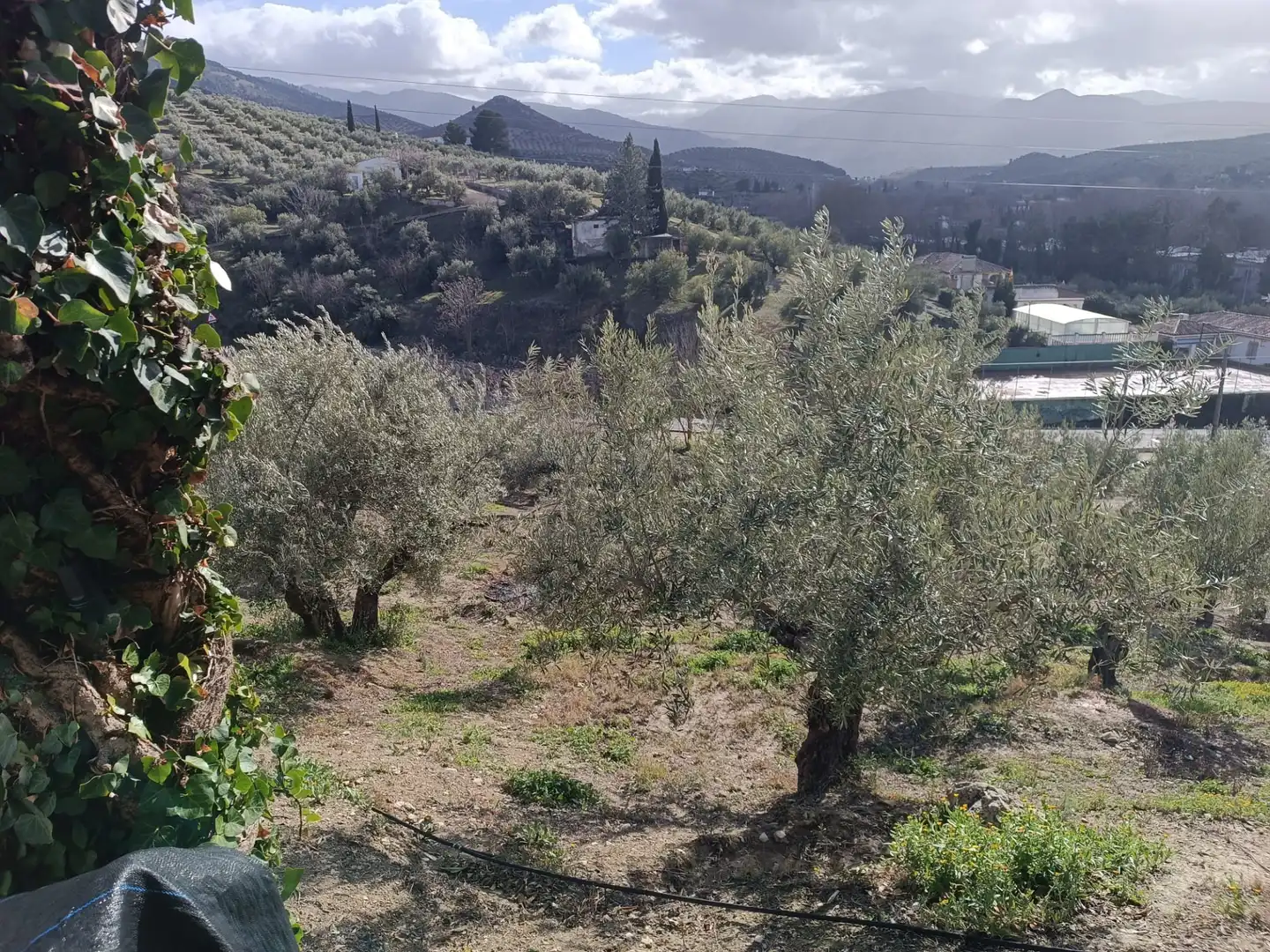 Casa rústica amb jardí en venda a Puente Jontoya - Puente de la Sierra - El Arroyo, imagen 23