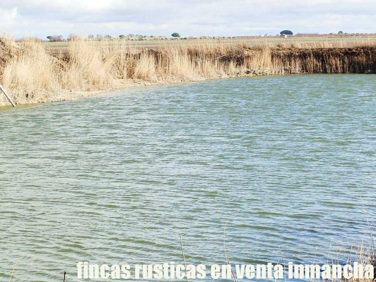 Terreni e lotti in vendita a Las Mesas, imagen 4